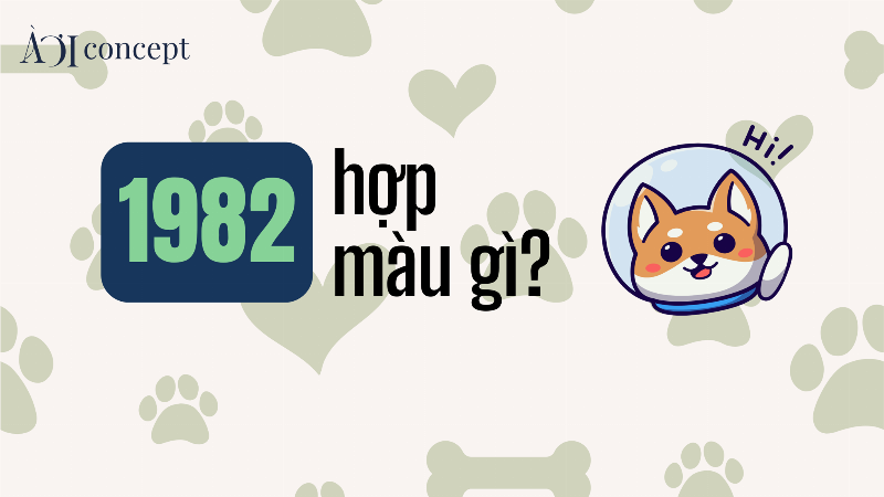 Hình ảnh minh họa cách ứng dụng màu sắc hợp phong thủy trong cuộc sống hàng ngày (quần áo, nhà cửa, đồ vật), liên quan đến 1982 là tuổi con gì hợp màu gì